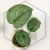 20260331_123728.webp