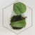 20260331_123739.webp