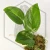 20260331_123818.webp