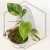 20260331_123828.webp