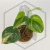 20260331_123839.webp