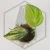 20260331_123858.webp