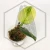 20260331_123908.webp