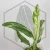 20260402_210124.webp