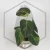 20260402_212011.webp
