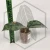 20260402_212032.webp
