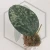 20260402_212040.webp