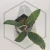 20260402_214138.webp