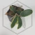 20260402_214144.webp