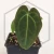 20260402_221043.webp