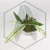 20260417_193822.webp