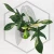 20260417_194005.webp
