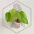 20260417_194637.webp