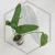 20260417_203302.webp