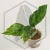 20260417_210040.webp