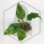 20260417_210124.webp