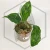 20260417_210204.webp