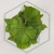 20260525_122013.webp