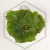 20260525_122048.webp