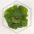 20260525_122211.webp