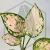 20260525_122645.webp