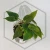 20260525_123052.webp