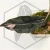 20260525_134717.webp