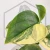 20260525_134741.webp