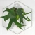 20260525_142036.webp