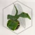 20260525_142620.webp