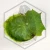 20260525_145544.webp