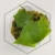 20260525_145744.webp