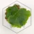 20260525_150324.webp