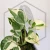 20260525_151025.webp