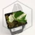 20260525_151116.webp