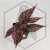 20260525_152857.webp
