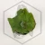 20260525_153848.webp