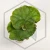 20260525_153853.webp