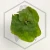 20260525_153938.webp