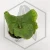 20260525_154003.webp