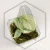 20260526_134919.webp