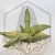 20260526_142331.webp