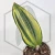 20260526_142907.webp