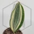 20260526_142923.webp