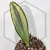 20260526_143035.webp