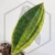 20260526_143306.webp