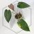 20260526_152725.webp