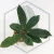 20260526_153337.webp