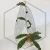 20260526_153307.webp