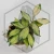 20260526_153815.webp